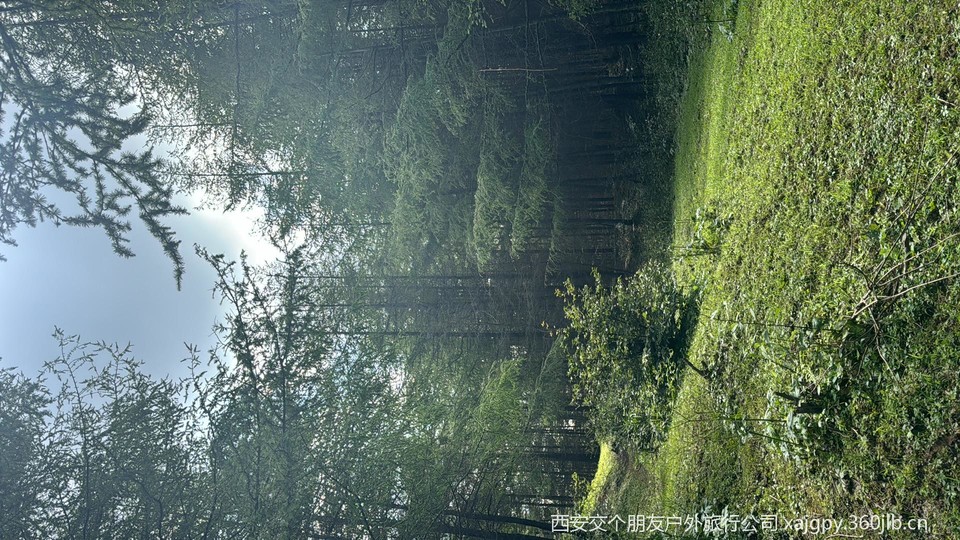 微信图片_20250714093521