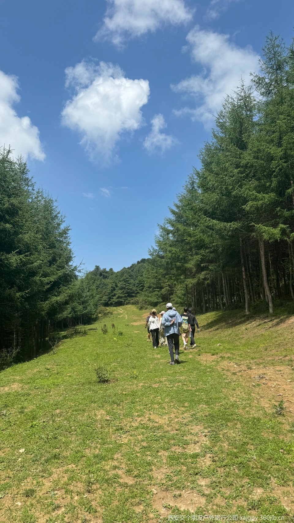 微信图片_20250714093536