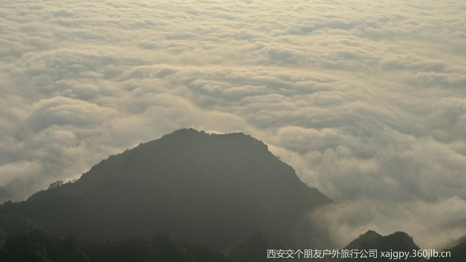 微信图片_20250714093644