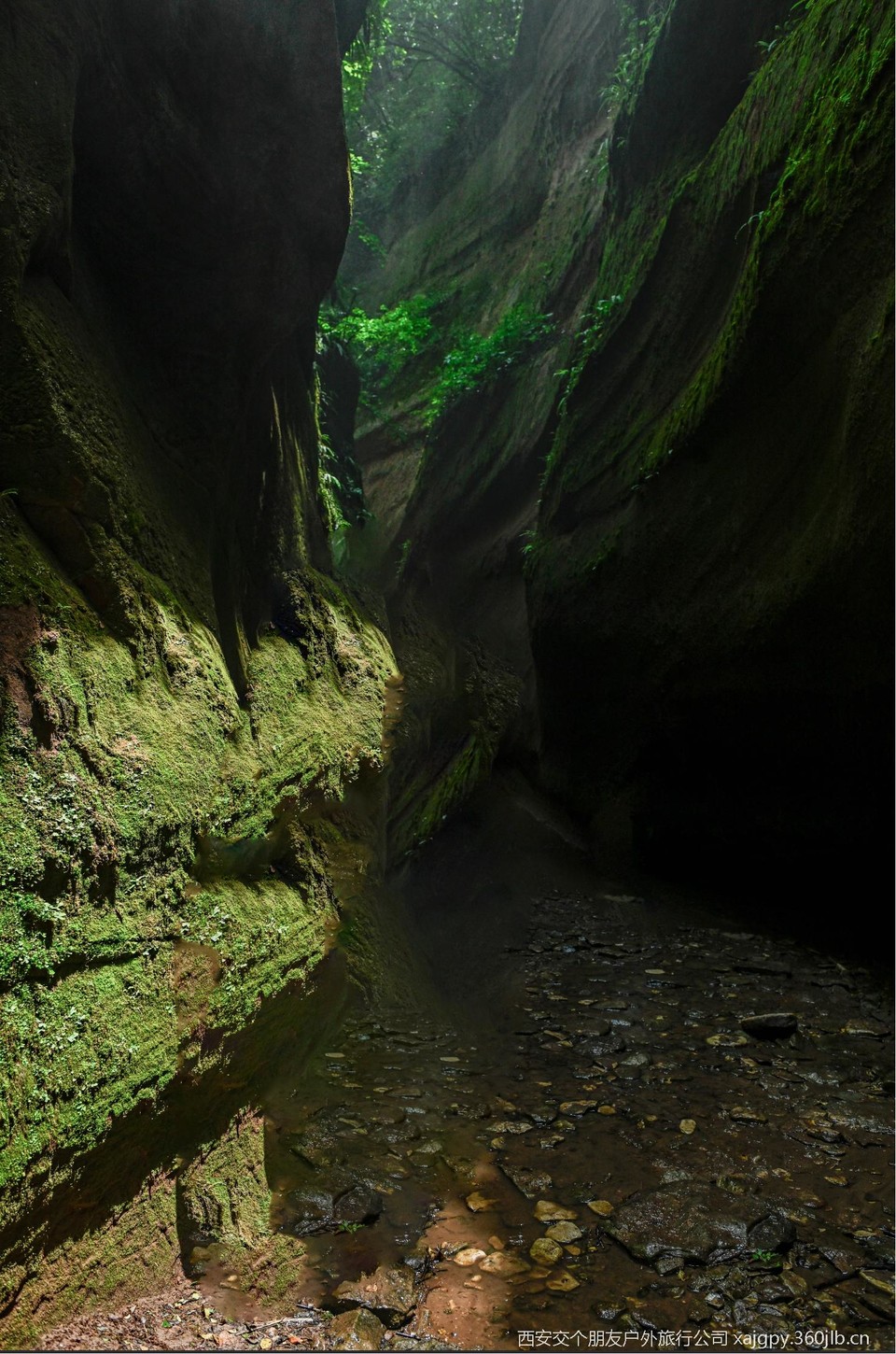 微信图片_20250722144336