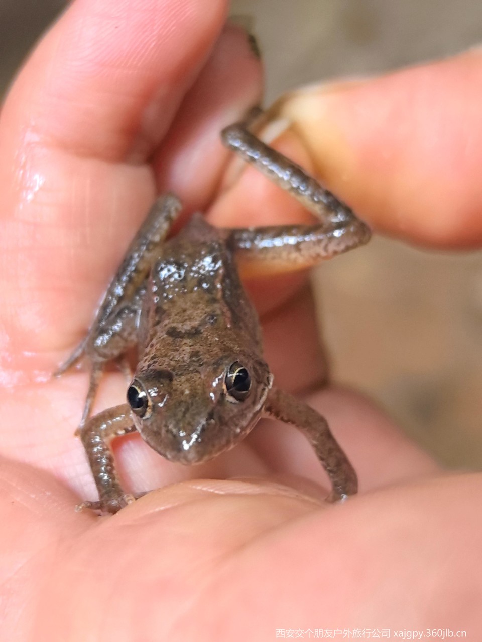 微信图片_20250722144351