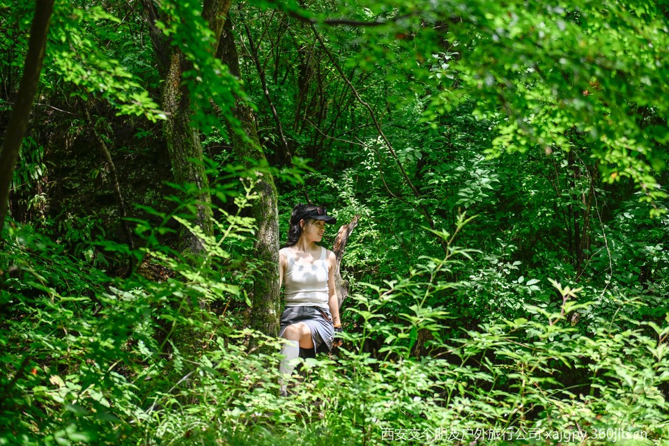 微信图片_20250722144400