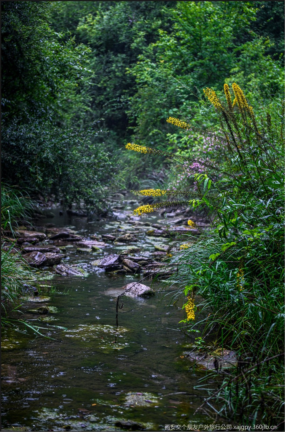 微信图片_20250722144438