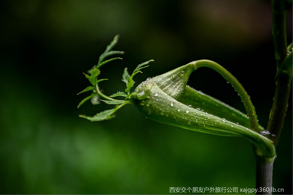 微信图片_20250722144441