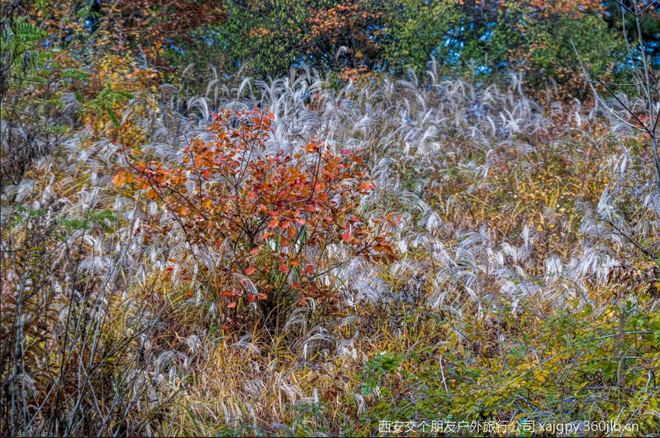 微信图片_20251104173909_473_2002