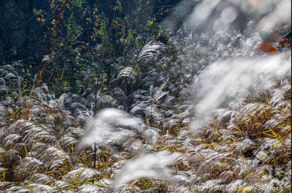 微信图片_20251104174018_474_2002