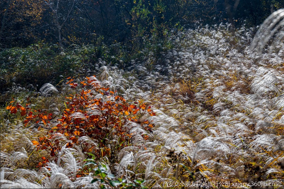 微信图片_20251104174137_475_2002