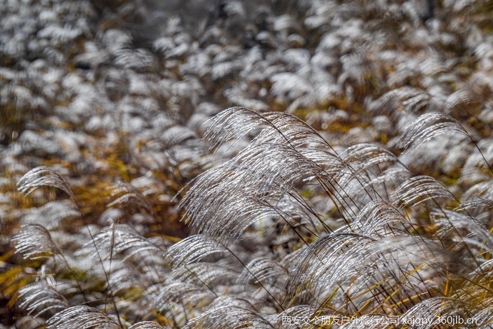 微信图片_20251104174221_476_2002