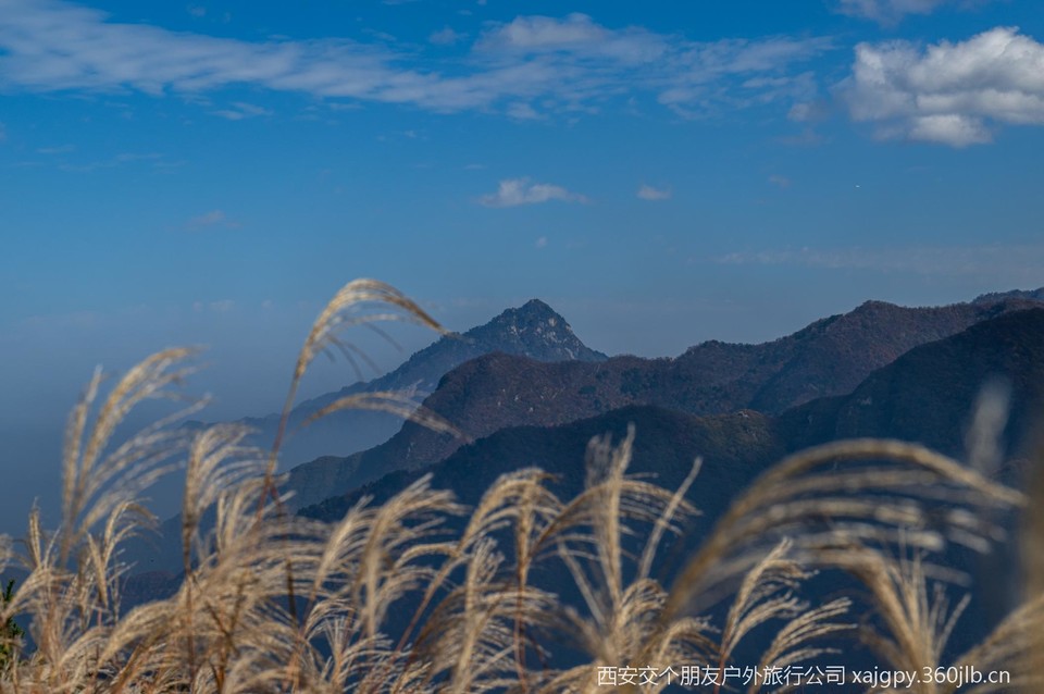 微信图片_20251104174417_477_2002