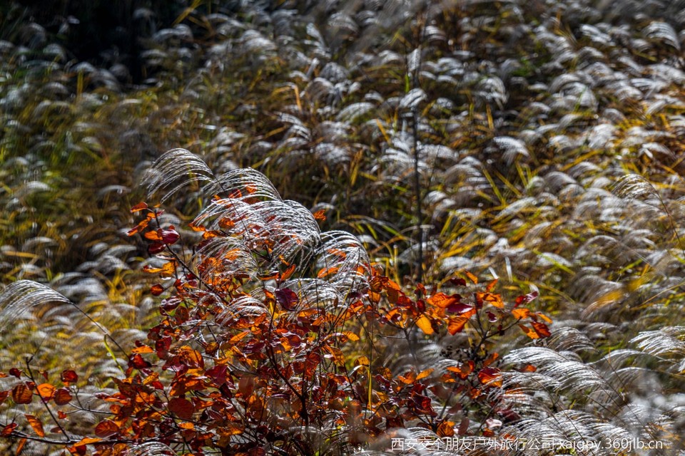 微信图片_20251104174733_479_2002