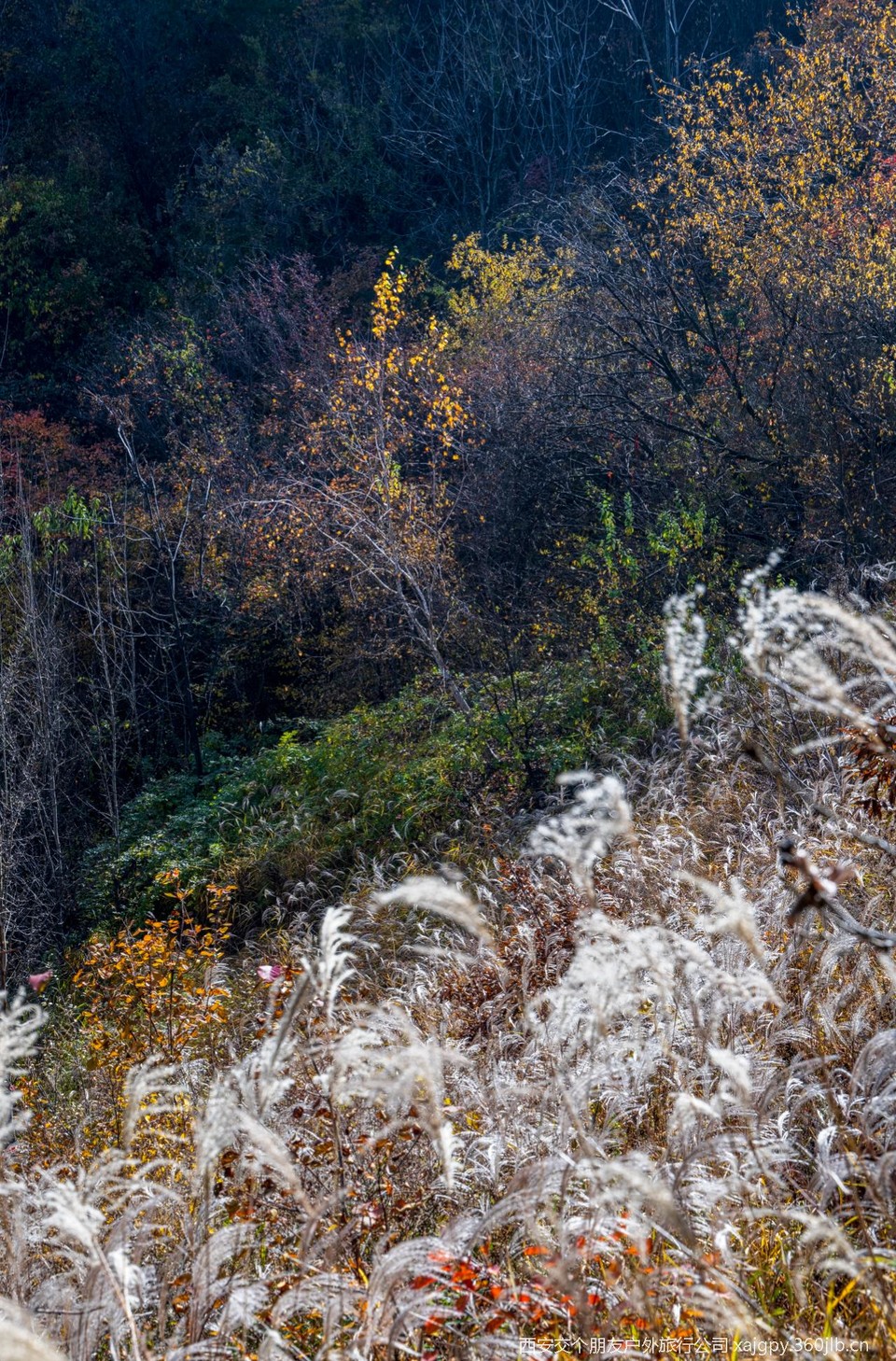 微信图片_20251104175051_481_2002