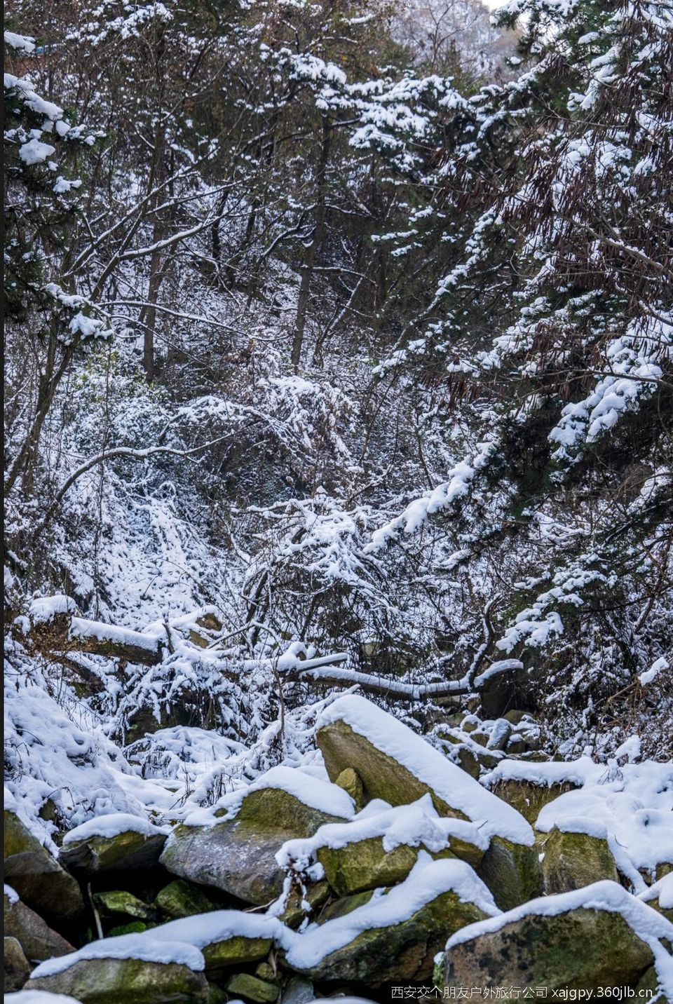 微信图片_20251119170615_1145_2002