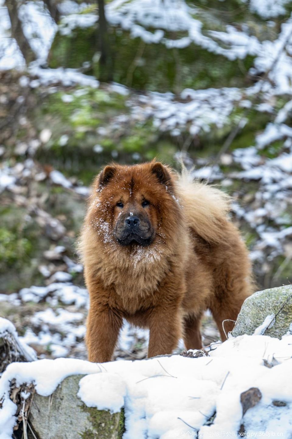 微信图片_20251119170843_1147_2002