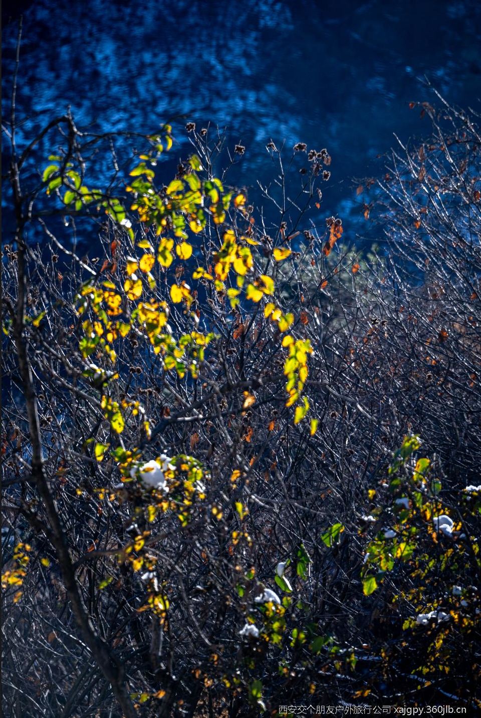 微信图片_20251119172126_1154_2002