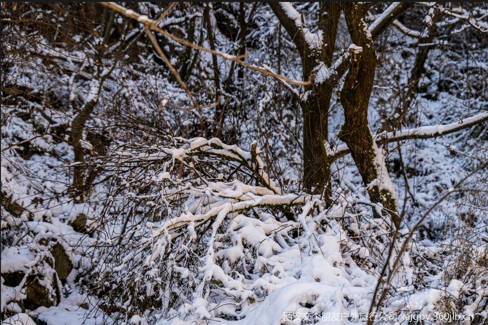 微信图片_20251119172304_1156_2002