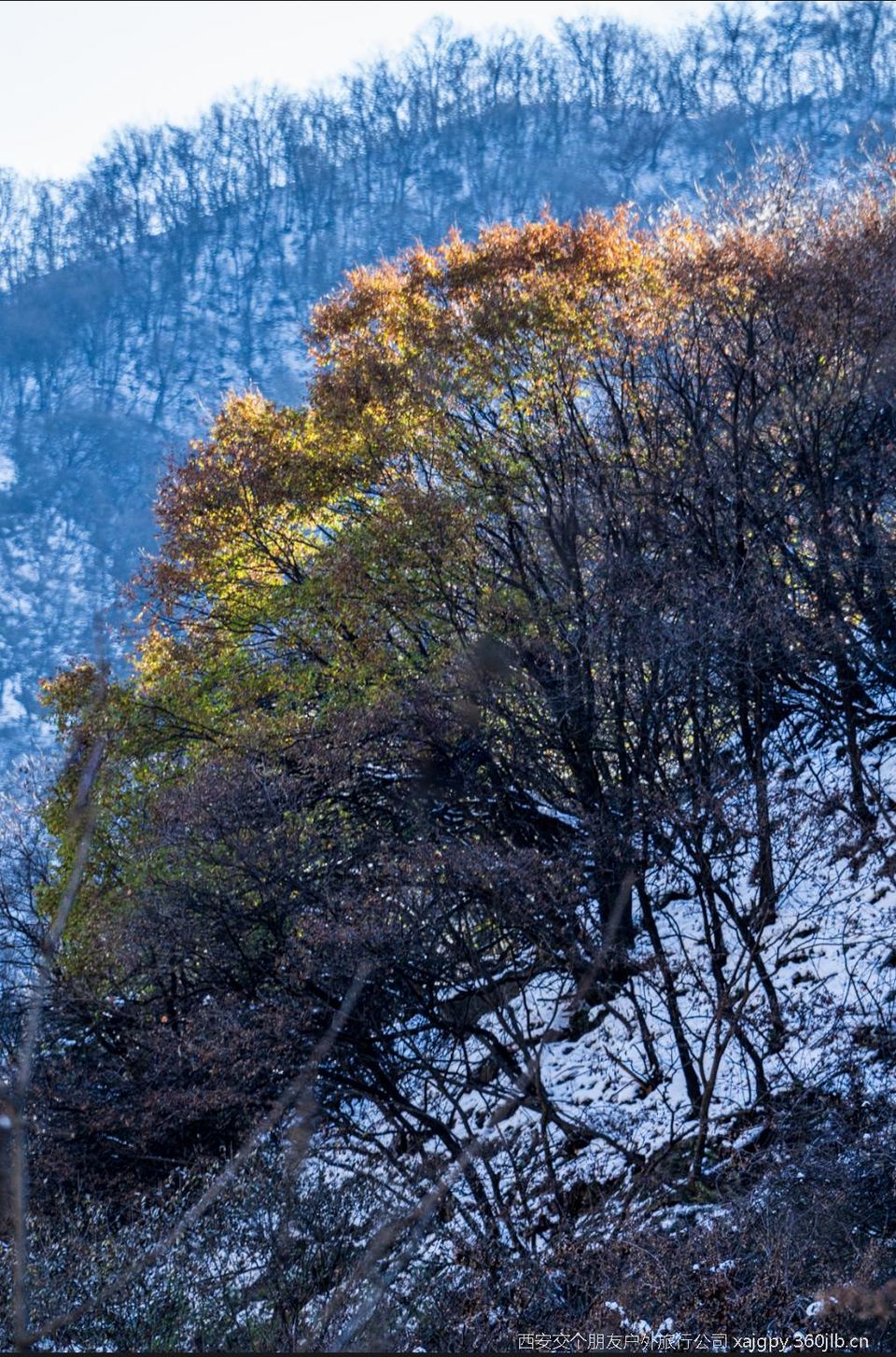 微信图片_20251119172451_1158_2002