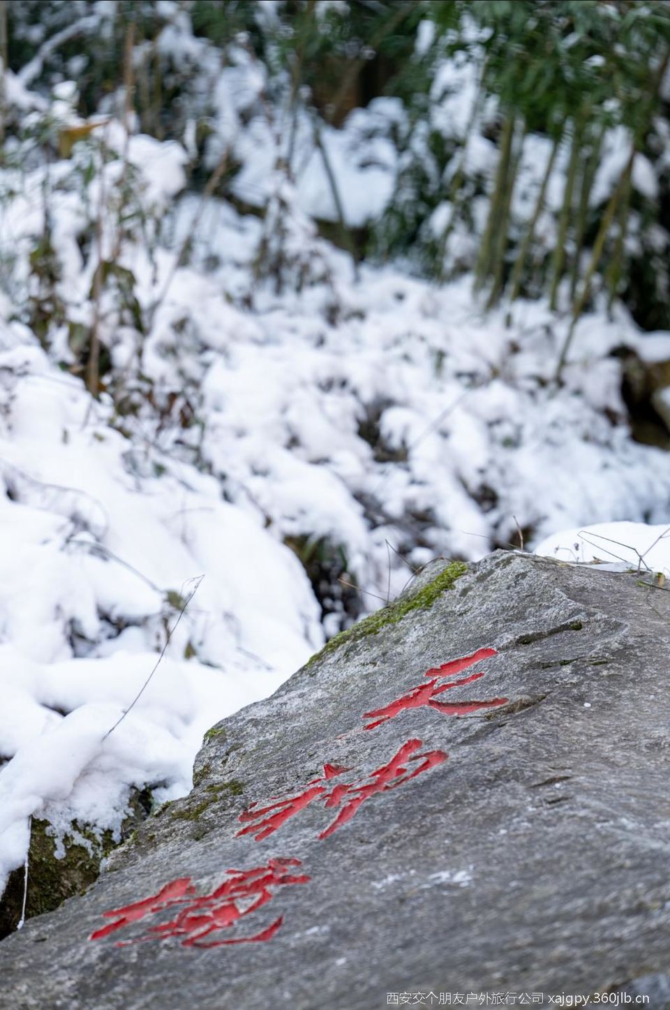 微信图片_20251119172529_1159_2002