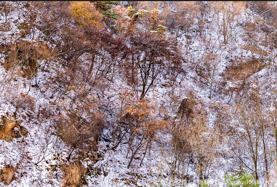 微信图片_20251119172911_1161_2002