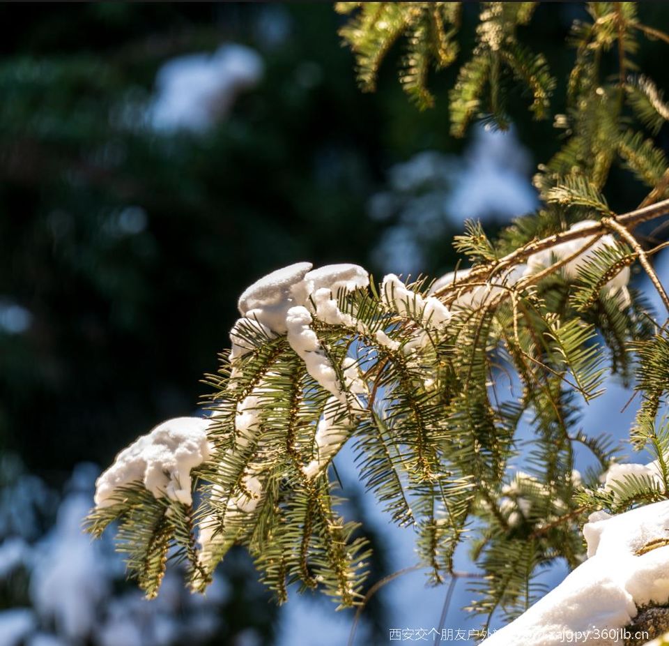 微信图片_20251119172951_1162_2002