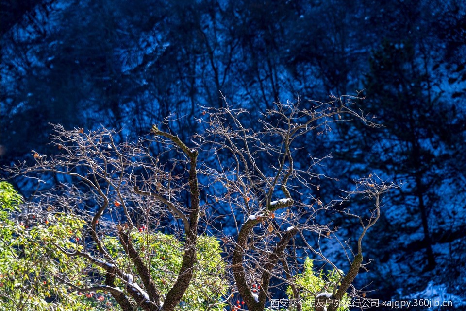 微信图片_20251119173243_1165_2002