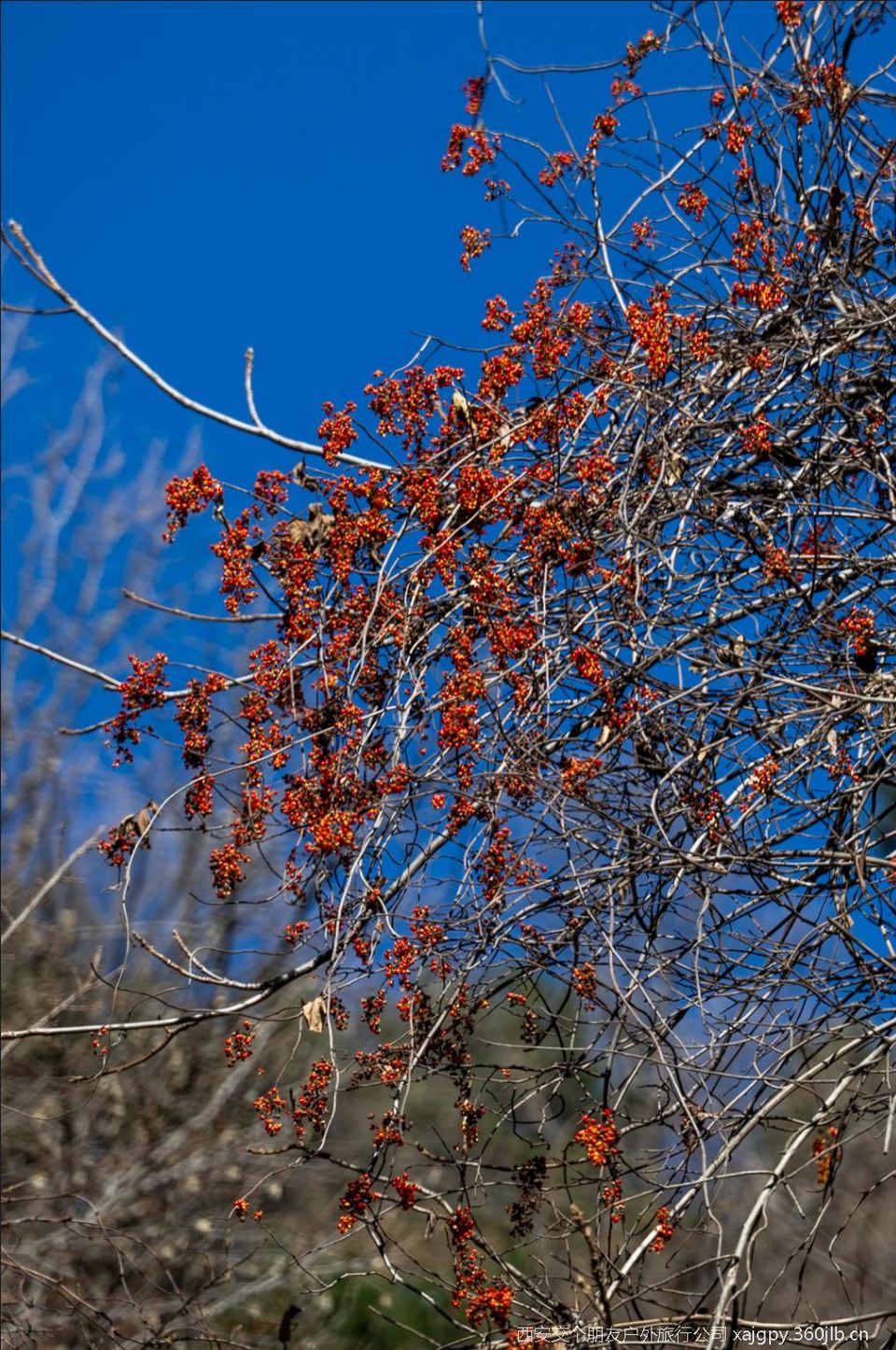 微信图片_20251119173331_1166_2002