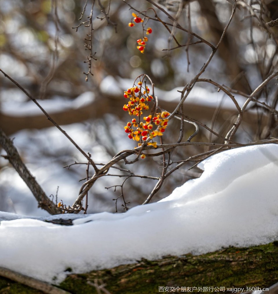 微信图片_20251119173520_1167_2002