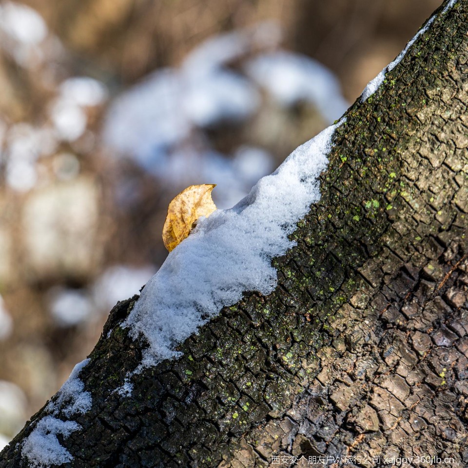 微信图片_20251119173615_1168_2002