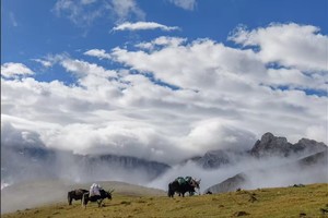 05.16-05.21遇见甘南首发·【行走甘南6日】扎尕那+甘加秘境双徒步/独家行程设计/不走回头路【内附全年排期】