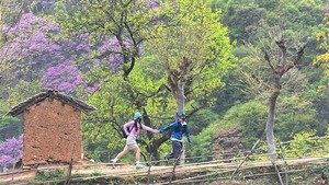 04.08/11/12（周三/六/日）· 西寺沟，管坪穿越西寺沟 避开人流 赏万亩紫荆花海，会员仅需68元哦；六期连发