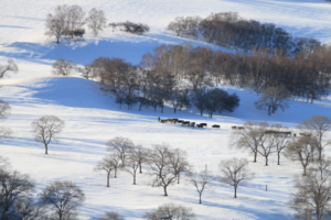 【遇见乌兰布统冬 · 冰雪狂欢3日】北京集散+多伦冬捕+塞罕坝+乌兰布统+暖水河+魔界日出+透风沟+南井+影视基地