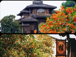 10月17日周六，季节限定，金秋赏桂花，轻徒步--满觉陇｜报名即赠专属能量补给包