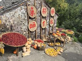 10月18日周日，秋柿燃岭：红柿挂满枝头，在“最美柿村”定格秋色 ｜报名即赠专属能量补给包 