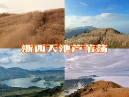 11月8日周六，11月限定！5km秋色小环线！浙西天池芦苇荡轻松拍大片+蓝宝石天池360°环视