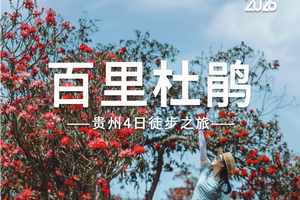 百里杜鹃 | 2026贵州花季小众秘境4天3晚轻徒旅行