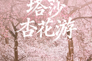 【绝色新疆·南疆塔莎杏花 7日】木吉火山口 塔莎古道 莎车古城 班迪尔湖 盘龙古道 喀什 大同乡 塔尔乡杏花游