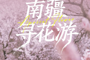 【南疆寻花8日】2-6人团 乌尉高速 温宿大峡谷 博斯腾湖环湖公路 木吉火山口 莎车古城 班迪尔湖 库克西鲁乡杏花游