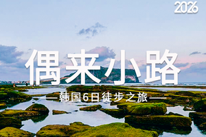 韩国 | 济州偶来小路100KM海岸精华线徒步6日