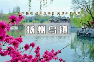 清明3日｜扬州乌镇 • 烟花三月下扬州，邂逅千垛花田的浪漫-扬州-瘦西湖-何园-乌镇