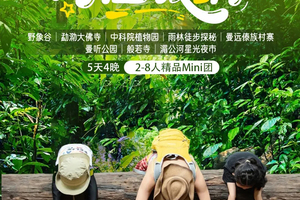 【象往版纳】野象谷｜勐泐大佛寺｜中科院植物园｜雨林徒步探秘｜曼远傣族村寨｜曼听公园｜般若寺｜湄公河星光夜市｜5天精品Mi