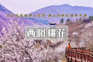 1日｜西峪村桃花•徒步山谷栈道看满山花海の距离赏花小众打卡