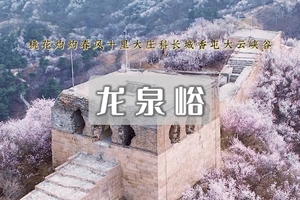 1日｜龙泉峪长城 •大庄科-大云峡谷-香屯の长城上赏桃花更有韵味（初级）