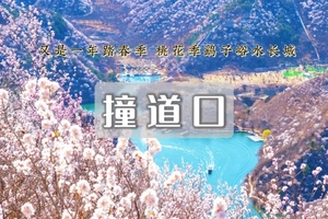 1日｜鹞子峪•黄花城-撞道口-鹞子峪古城堡 休闲登山赏桃花