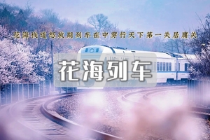 1日｜花海列车•开往春天的列车の枝花正盛-天下第一雄关-居庸关长城