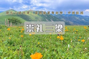 1日｜崇礼三梁｜高山草甸 云端花海の玉石梁-大鹰梁-喜鹊梁-环线徒步穿越