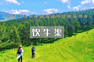 1日｜饮牛渠｜治愈草甸任你奔跑躺平看云卷云舒