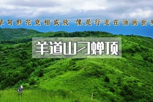 1日｜刁蝉顶•羊道山｜涿鹿之巅-避暑纳凉-漫山野花-与您相约向云端-13公里徒步（初级）