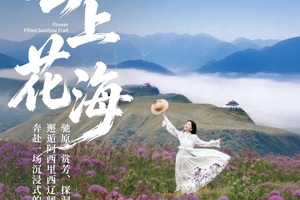 云上花海 | 贵州秘境韭菜坪+阿西里西+修文二洞+香火岩瀑布5日徒步旅行