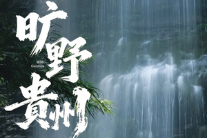 2026旷野贵州 | 荔波茂兰漏斗森林+四洞天穿越+猴子沟+螺丝壳徒步5日