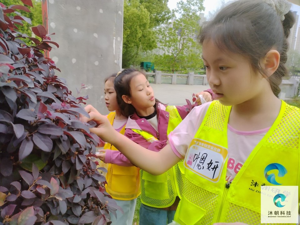 3QMGHIOqa4w3VUyblJR94TMHa5TEgyi67OdXaZBu4IdPPGxYVnSPgqaa9idN119q