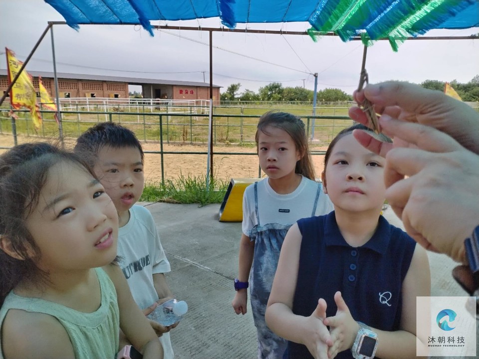 -v3NUQCApyECb0Belruw0svgX2wFubhTnuRirBm45PBLyxNn6rqxfbgGWHcyShFE